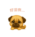 パグスタンプ【繁體字】（個別スタンプ：7）