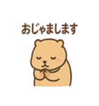 朝昼晩つかえる あいさつカピバラの一言（個別スタンプ：5）