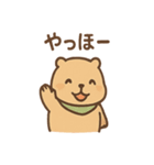 朝昼晩つかえる あいさつカピバラの一言（個別スタンプ：7）