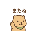 朝昼晩つかえる あいさつカピバラの一言（個別スタンプ：8）