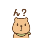 朝昼晩つかえる あいさつカピバラの一言（個別スタンプ：12）