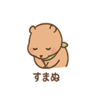 朝昼晩つかえる あいさつカピバラの一言（個別スタンプ：21）