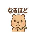 朝昼晩つかえる あいさつカピバラの一言（個別スタンプ：23）