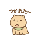 朝昼晩つかえる あいさつカピバラの一言（個別スタンプ：33）