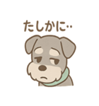 うたれよわシュナ のんびりリアクション（個別スタンプ：1）