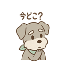 うたれよわシュナ のんびりリアクション（個別スタンプ：24）