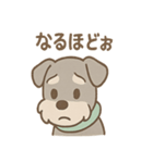 うたれよわシュナ のんびりリアクション（個別スタンプ：36）
