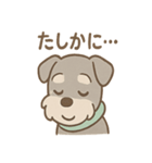 うたれよわシュナ のんびりリアクション（個別スタンプ：39）