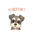 ミニチュアシュナウザー【繁體字】（個別スタンプ：1）