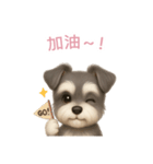 ミニチュアシュナウザー【繁體字】（個別スタンプ：5）