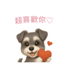 ミニチュアシュナウザー【繁體字】（個別スタンプ：8）