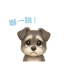 ミニチュアシュナウザー【繁體字】（個別スタンプ：12）