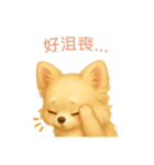チワワスタンプ【繁體字】（個別スタンプ：7）