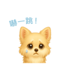 チワワスタンプ【繁體字】（個別スタンプ：12）