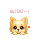 チワワスタンプ【繁體字】（個別スタンプ：14）