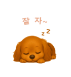 ミニチュアダックスフンド【韓国語】（個別スタンプ：4）