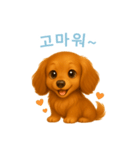 ミニチュアダックスフンド【韓国語】（個別スタンプ：15）