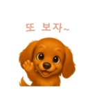 ミニチュアダックスフンド【韓国語】（個別スタンプ：16）