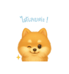 ポメラニアンスタンプ【タイ語】（個別スタンプ：9）