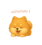ポメラニアンスタンプ【タイ語】（個別スタンプ：10）