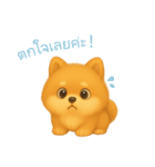 ポメラニアンスタンプ【タイ語】（個別スタンプ：12）