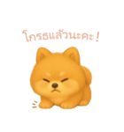 ポメラニアンスタンプ【タイ語】（個別スタンプ：13）