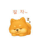 ポメラニアンスタンプ【韓国語】（個別スタンプ：4）
