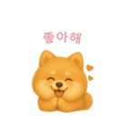 ポメラニアンスタンプ【韓国語】（個別スタンプ：8）