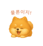 ポメラニアンスタンプ【韓国語】（個別スタンプ：10）
