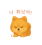 ポメラニアンスタンプ【韓国語】（個別スタンプ：13）