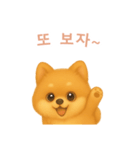 ポメラニアンスタンプ【韓国語】（個別スタンプ：16）