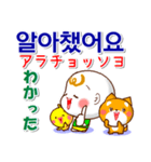 韓国語ハングル（発音付）日本語 日常連絡（個別スタンプ：14）