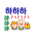 韓国語ハングル（発音付）日本語 日常連絡（個別スタンプ：24）