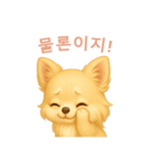 チワワスタンプ【韓国語】（個別スタンプ：10）