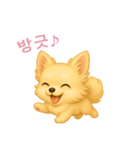 チワワスタンプ【韓国語】（個別スタンプ：11）