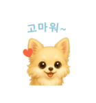 チワワスタンプ【韓国語】（個別スタンプ：15）