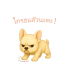 フレンチブルドッグ【タイ語】（個別スタンプ：13）