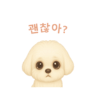 マルチーズ【韓国語】（個別スタンプ：1）
