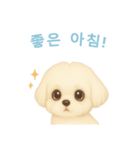 マルチーズ【韓国語】（個別スタンプ：3）