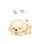 マルチーズ【韓国語】（個別スタンプ：4）