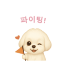 マルチーズ【韓国語】（個別スタンプ：5）