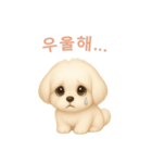 マルチーズ【韓国語】（個別スタンプ：7）
