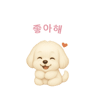 マルチーズ【韓国語】（個別スタンプ：8）