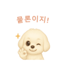 マルチーズ【韓国語】（個別スタンプ：10）