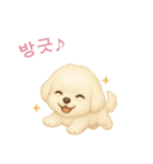 マルチーズ【韓国語】（個別スタンプ：11）