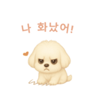 マルチーズ【韓国語】（個別スタンプ：13）