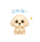 マルチーズ【韓国語】（個別スタンプ：15）
