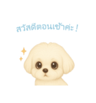 マルチーズ【タイ語】（個別スタンプ：3）
