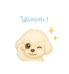 マルチーズ【タイ語】（個別スタンプ：9）