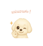 マルチーズ【タイ語】（個別スタンプ：10）